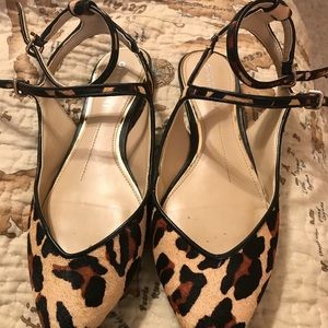 Gianni bini flat